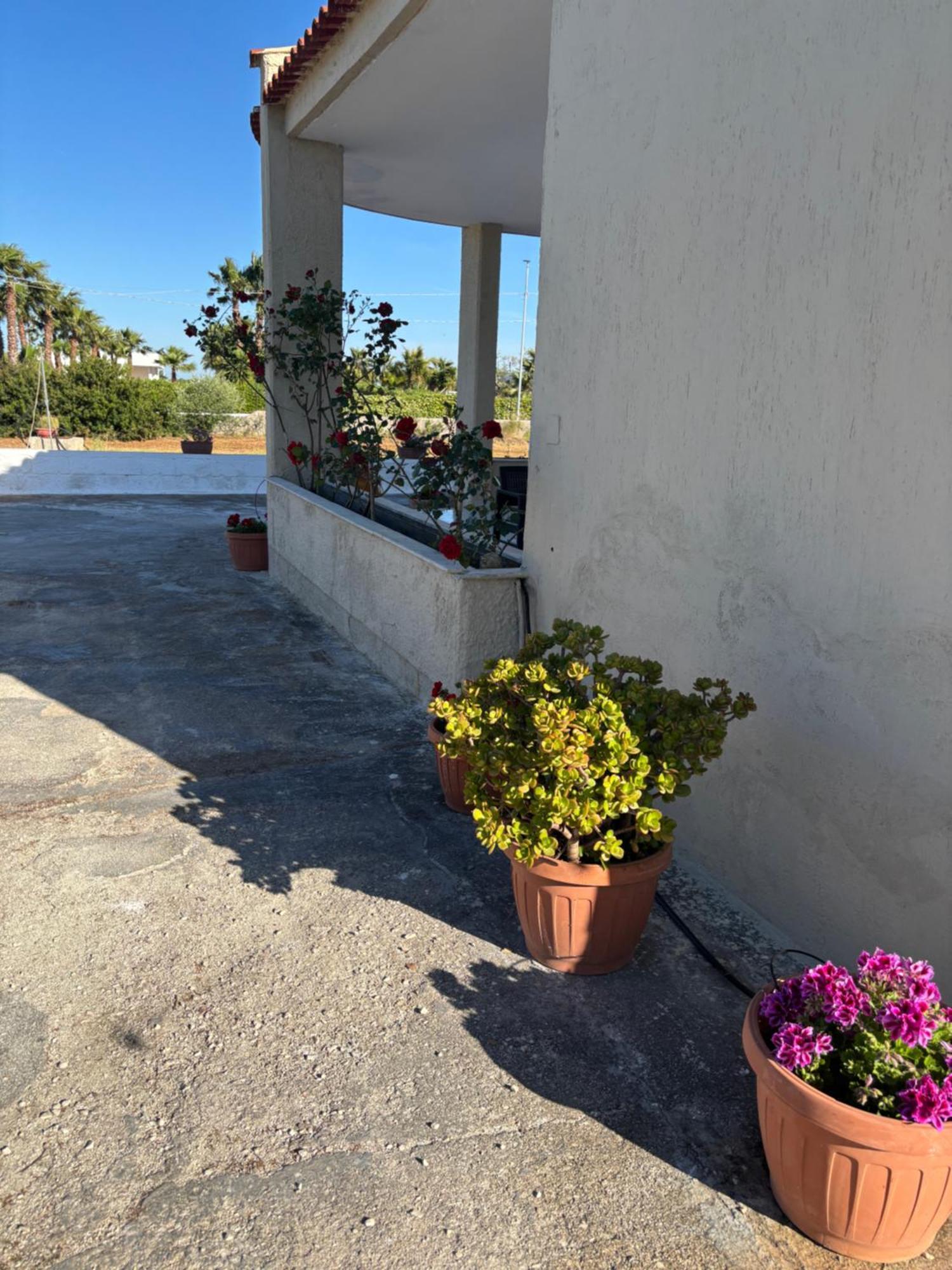 Lilly'S House Vila Torre Santa Sabina Exterior foto